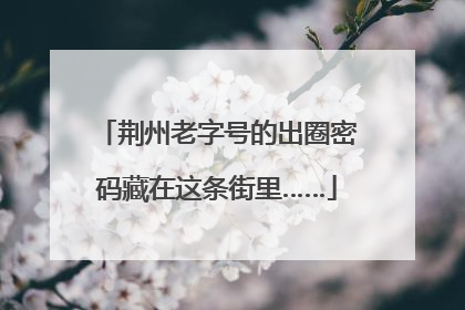 荆州老字号的出圈密码藏在这条街里……