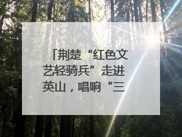 荆楚“红色文艺轻骑兵”走进英山，唱响“三大精神”