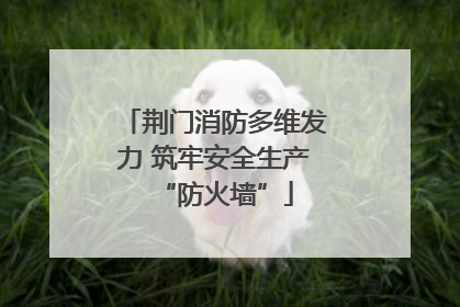 荆门消防多维发力 筑牢安全生产“防火墙”