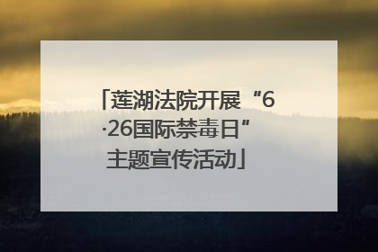 莲湖法院开展“6·26国际禁毒日”主题宣传活动