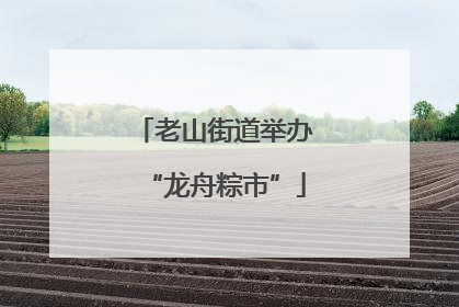 老山街道举办“龙舟粽市”