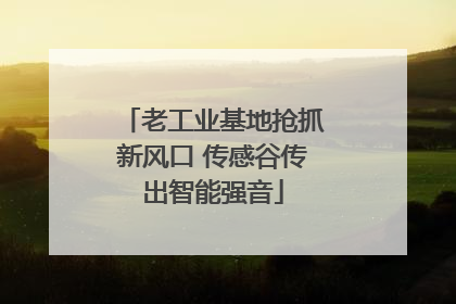 老工业基地抢抓新风口 传感谷传出智能强音
