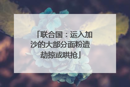 联合国：运入加沙的大部分面粉遭劫掠或哄抢