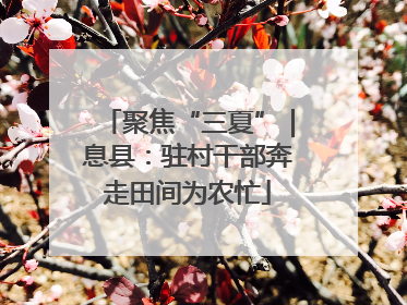聚焦“三夏”｜息县：驻村干部奔走田间为农忙