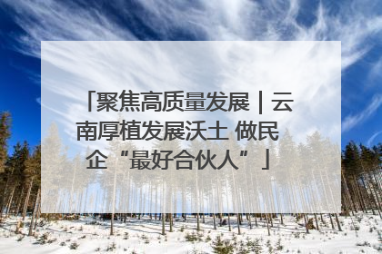 聚焦高质量发展｜云南厚植发展沃土 做民企“最好合伙人”