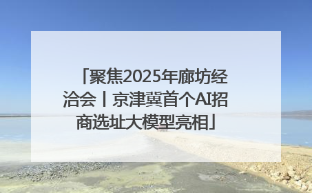 聚焦2025年廊坊经洽会丨京津冀首个AI招商选址大模型亮相