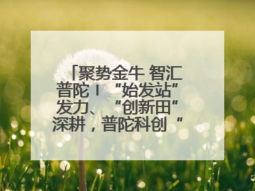 聚势金牛 智汇普陀〡“始发站”发力、“创新田”深耕，普陀科创“金牛”闪耀