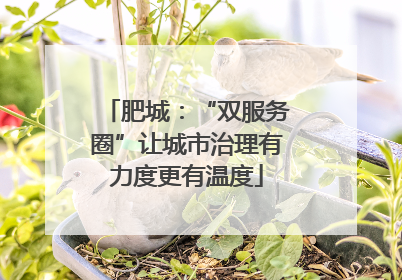 肥城：“双服务圈”让城市治理有力度更有温度