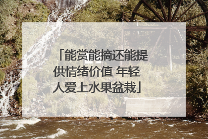 能赏能摘还能提供情绪价值 年轻人爱上水果盆栽