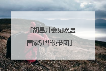 胡昌升会见欧盟国家驻华使节团