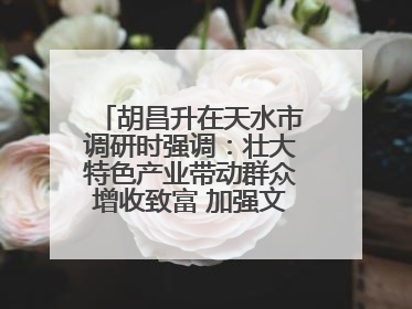 胡昌升在天水市调研时强调：壮大特色产业带动群众增收致富 加强文物保护推动文化创新发展