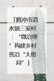 腾冲市清水镇三家村：“微治理”构建乡村善治“大格局”