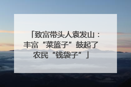 致富带头人袁发山：丰富“菜篮子”鼓起了农民“钱袋子”