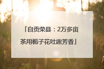 自贡荣县：2万多亩茶用栀子花吐露芳香