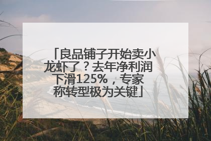 良品铺子开始卖小龙虾了？去年净利润下滑125%，专家称转型极为关键