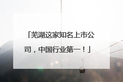 芜湖这家知名上市公司，中国行业第一！