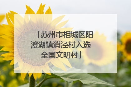 苏州市相城区阳澄湖镇消泾村入选全国文明村