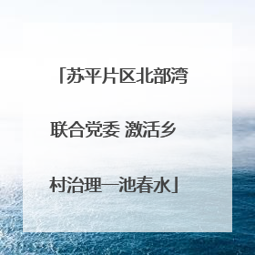 苏平片区北部湾联合党委 激活乡村治理一池春水