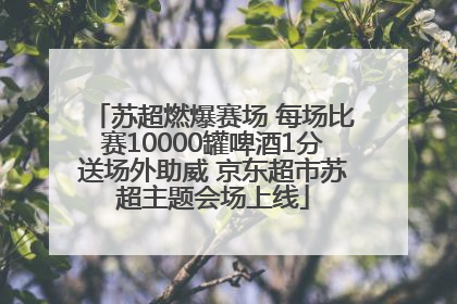 苏超燃爆赛场 每场比赛10000罐啤酒1分送场外助威 京东超市苏超主题会场上线