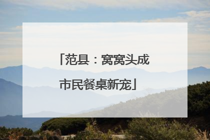 范县：窝窝头成市民餐桌新宠
