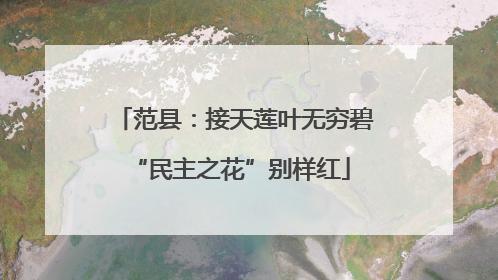 范县：接天莲叶无穷碧 “民主之花”别样红