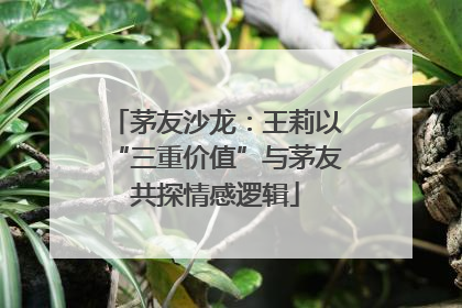 茅友沙龙：王莉以“三重价值”与茅友共探情感逻辑