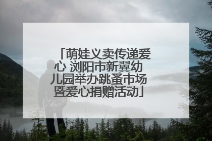 萌娃义卖传递爱心 浏阳市新翼幼儿园举办跳蚤市场暨爱心捐赠活动
