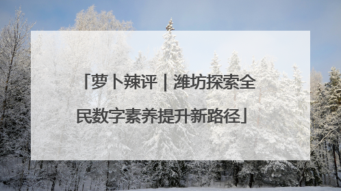 萝卜辣评｜潍坊探索全民数字素养提升新路径