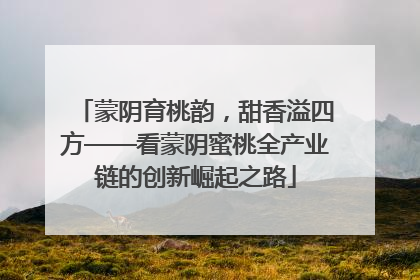 蒙阴育桃韵，甜香溢四方——看蒙阴蜜桃全产业链的创新崛起之路