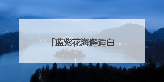 蓝紫花海邂逅白色灯塔 金海湾初夏浪漫引客来