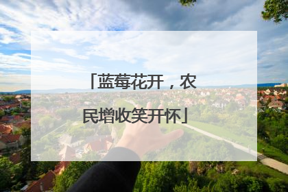 蓝莓花开，农民增收笑开怀