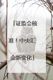 证监会核准！中央汇金新变化
