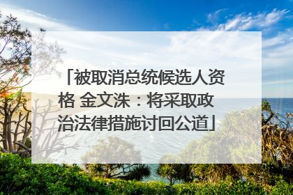 被取消总统候选人资格 金文洙：将采取政治法律措施讨回公道