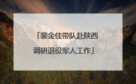 裴金佳带队赴陕西调研退役军人工作