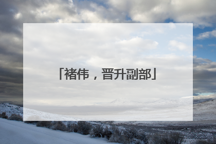 褚伟，晋升副部
