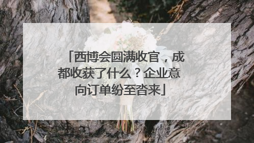 西博会圆满收官，成都收获了什么？企业意向订单纷至沓来
