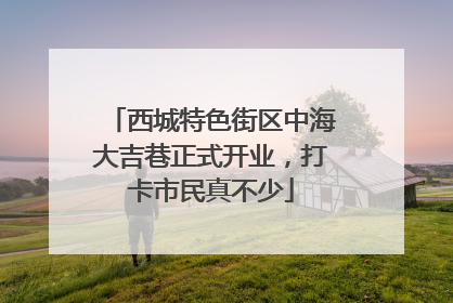 西城特色街区中海大吉巷正式开业，打卡市民真不少