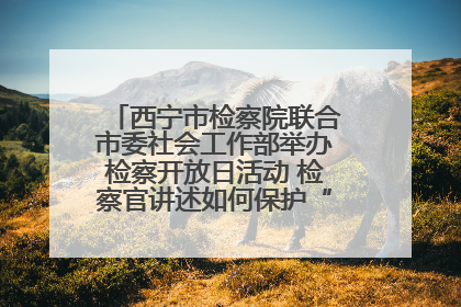 西宁市检察院联合市委社会工作部举办检察开放日活动 检察官讲述如何保护“少年的你”