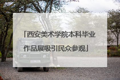 西安美术学院本科毕业作品展吸引民众参观