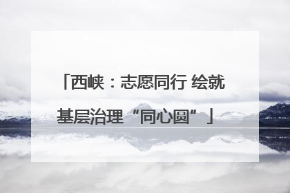 西峡：志愿同行 绘就基层治理“同心圆”