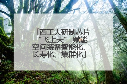 西工大研制芯片“飞上天” 赋能空间装备智能化、长寿化、集群化