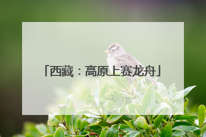 西藏：高原上赛龙舟