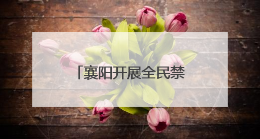 襄阳开展全民禁毒宣传月活动
