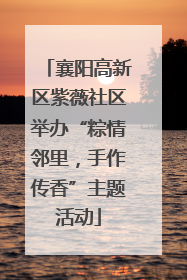 襄阳高新区紫薇社区举办“粽情邻里，手作传香”主题活动