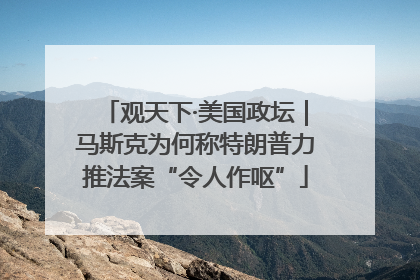 观天下·美国政坛｜马斯克为何称特朗普力推法案“令人作呕”