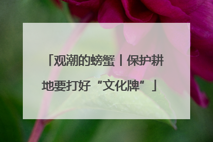 观潮的螃蟹丨保护耕地要打好“文化牌”