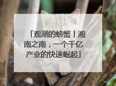 观潮的螃蟹丨湘南之南，一个千亿产业的快速崛起