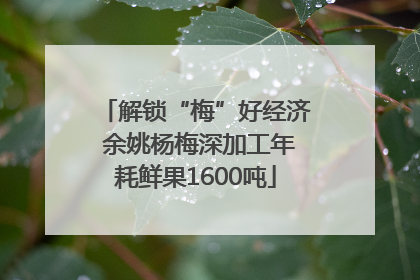 解锁“梅”好经济 余姚杨梅深加工年耗鲜果1600吨