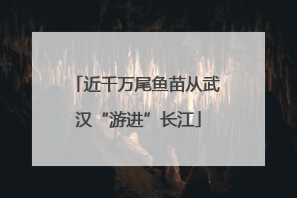 近千万尾鱼苗从武汉“游进”长江