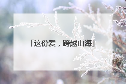 这份爱，跨越山海